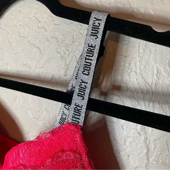 Juicy Couture Dragon Rose Hot Pink‎ Push Up Lace Mesh Bodysuit Lingerie Large - Picture 4 of 6